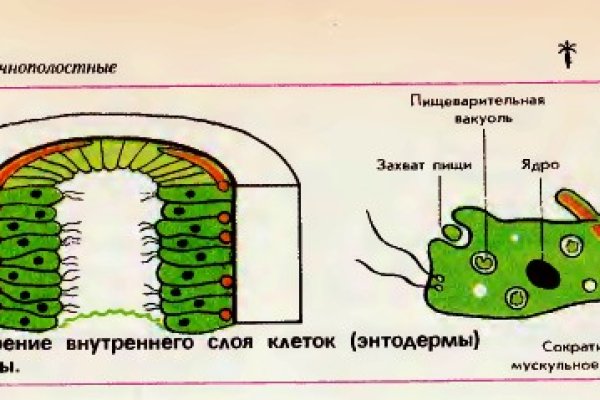 Блэкспрут ссылка тор blacksprut click