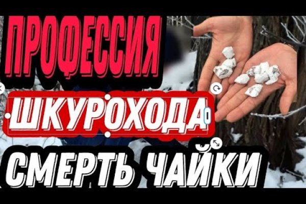 Блэк спрут зеркало bs2web top