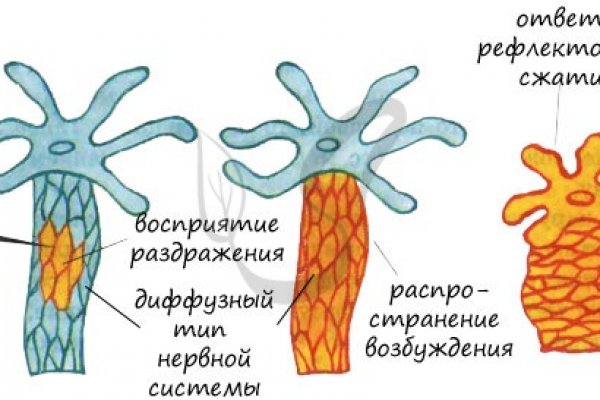 Блэк спрут фишинг